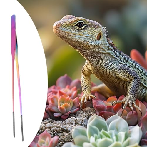 Baoblaze Reptile Feeding Tongs with Black Silicone Tip Long Planting Tweezers for Aquarium for Gecko Bearded Dragon Tank Aquascaping, Straight - color: Straight