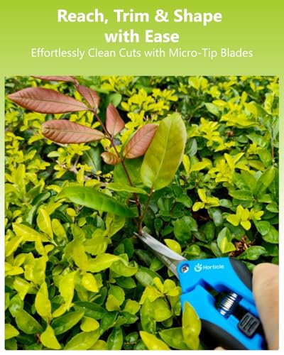 6.5" Garden Scissors Pruning Shears: 2 Pack of Trimming Scissors for Small Plants - High Cutting Efficiency Flower Snips for Gardening