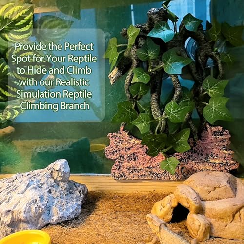 BNOSDM Reptile Climbing Branch,Crested Gecko Climb Corner Branch with Suction Cup,Bearded Dragon Resin Tree Branches,Reptile Tank Rainforest Background Decor for Lizard Chameleons Hermit Crabs Spiders