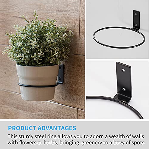 Plant Holder Ring 6 Inch Wall Mounted, 6 Pack Flower Pot Hangers Metal Plant Stand Hanging Bracket Basket Hooks - size: 6 inch-6 Pack