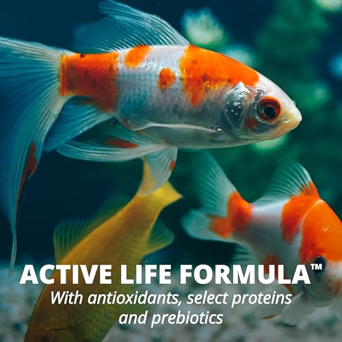 Tetra Goldfish Flakes, Nutritionally Balanced Diet for Aquarium Fish, Vitamin C Enriched Flakes, .42 oz (36 Pack) - size: 0.42 Ounce (Pack of 36)