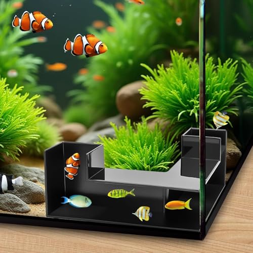 Aquarium Cave, Dual-Entrance Tunnel, Fish Tank Accessories, Decoration Tunnel, Viewing, Shrimp and Hiding, Shrimp Decor