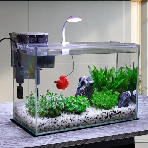 3 Gallon Glass Small Fish Tank, Betta Fish Tank Starter Kit with Filter, Lights,Lid. - size: 3 Gallon