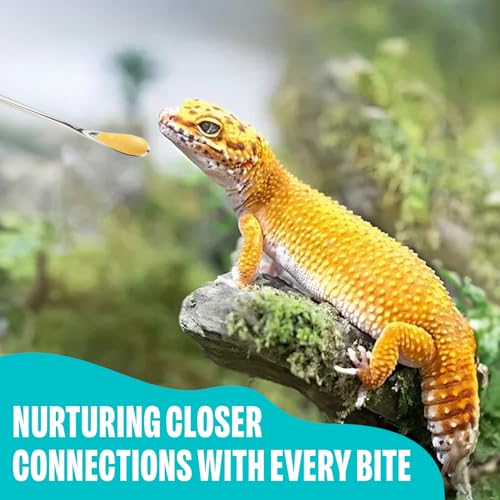 3 Pcs Stainless Steel Reptile Feeding Tool Set with 2 Rubber Tipped Tongs and 1 Crested Gecko Feeding Spoon, Crested Gecko Tank Accessories for Geckos, Lizards, Bearded Dragons, and Small Animals