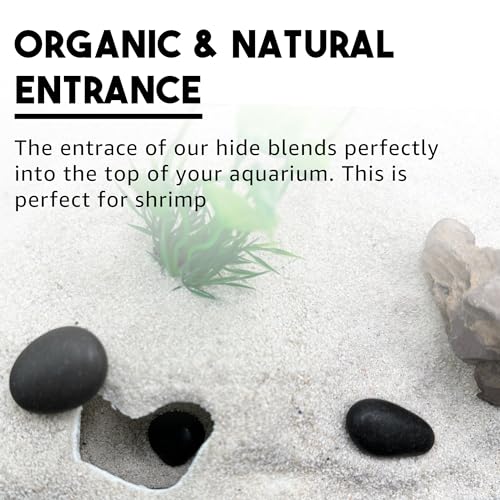 CTWPets Natural Aquarium Tunnel Cave | Shrimp Hide Cave (Black)