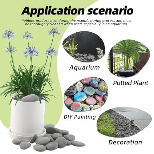 River Rocks Mexican Beach Pebbles (Large, 3LB) - size: 3LB, style: Large