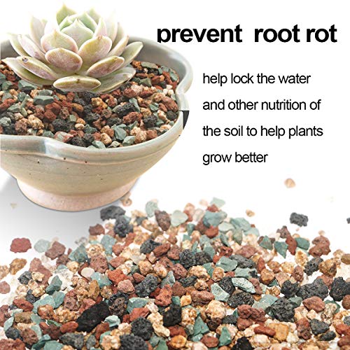 TOYPOPOR Mix Horticultural Lava Rock Pebbles Pumice Potting Soil Amendment Succulent Cactus Bonsai Gritty Rock Decorative Gravel Plant Drainage Volcanic for Terrarium Fairy Gardening Top Dressing 6lb - color: Multi, size: 6 lb