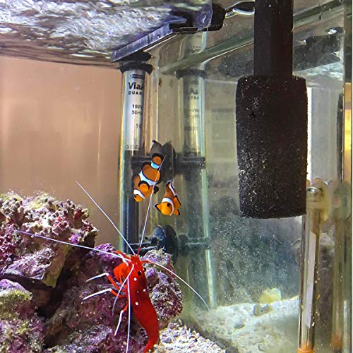 4PCS Pre-Filter Foam Sponge Roll Aquarium Filter Intake Cover for Aquarium Fish Tank(Small)