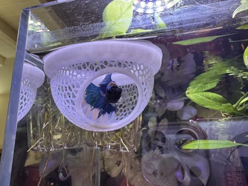 Floating Betta Hide & Shrimp Cave – 3-in-1 Aquarium Cave & Rest Spot for Betta and Small Fish, Shrimp – Safe Nano Tank Accessories with Feeding Station, Eco-Friendly PLA