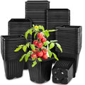 Anyumocz 100Pcs Square Plant Nursery Pots,3.5 Inch Plastic Pots with Drainage Holes,Reusable Seed Starter Pots for Flowers,Vegetables,Garden Planting,Transplanting,Succulents,Cuttings(Black) - color: 100pcs Black