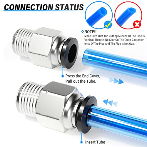 TAILONZ PNEUMATIC Male Straight 1/4 Inch Tube OD x 1/8 Inch NPT Thread Push to Connect Fittings PC-1/4-N1 (Pack of 20) - size: 1/4"OD x 1/8"NPT