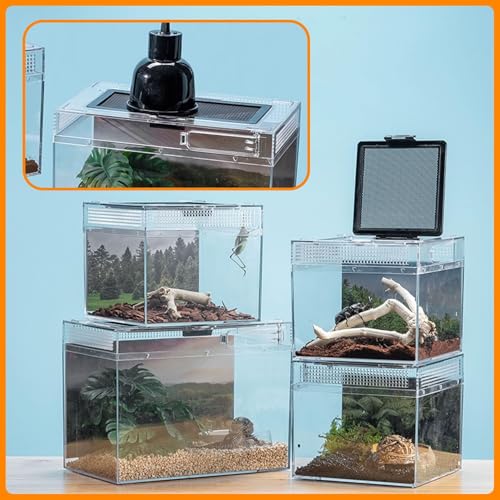 Reptile Terrarium, Jumping Spider Enclosure Starter Kit, Leopard Gecko Habitat Container, 8"x8"x6"Reptile Tank for Tarantula, Hermit Crab, Insect, Fish, Frog, Small Bearded Dragon, Lizard - size: 8"x8"x6"