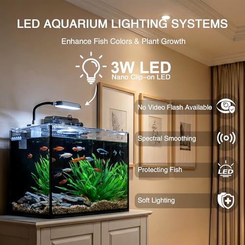2 Gallon Betta Fish Tank, Small Aquarium Kit,Glass Small Fish Tank,Betta Fish Tank with a lid and Light and Filter, Small Transparent Glass Fish Tank with Light and Filter (Black Glass Background) - size: 2 Gallon