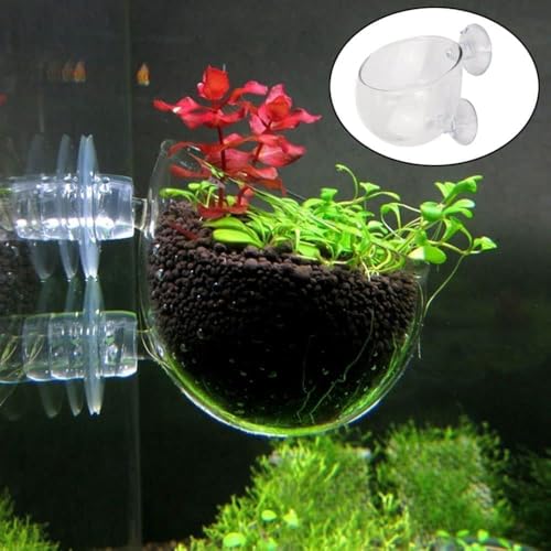 4 Pcs Aquarium Plant Pot Planter, Glass Fish Tank Plants Holder, Aquarium Decoration Plant Cup with Suction Cups for Fishes Tank Ornament Aquarium Décor Plastic Plants Fish and Aquatic Pets