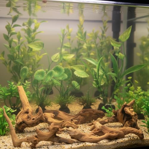 16 Pcs Aquarium Decor Fish Tank Decorations Include 6 Small Natural Coral Driftwood Spiderwood and 10 Green Plastic Plants for Reptile Terrarium Accessories Goldfish Tank Decor