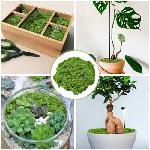 Fake Green Moss for Crafts 3.5 Oz Decorative Artificial Moss for Crafts Decorative Faux Moss Table Centerpieces Wedding Party Decor Fairy Garden Floral DIY - color: 3.5oz
