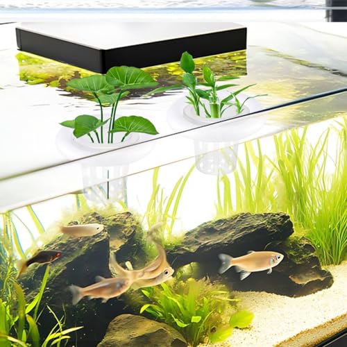4 PCS Floating Aquarium Plant Holder, Plastic Fish Tank Basket with Foam Rings, Aquatic Pot for Fish Tank Aquaponic Plant Cultivation and Aquascape Decorations