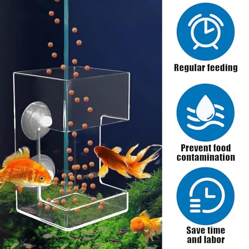 Fish Tank Dish Tray with Suction Cup 3.94x2.36 Inch Feeding Tube Turtle Transparent Fish Food Holder for Turtle Shrimp Betta Feeding (Square) - size: Square
