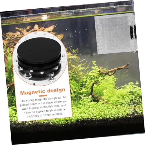 BESPORTBLE 1pc Fish Isolation Box Magnet Easy Installation Fish Hatching Container Water for Smooth for Breeding and Acclimation