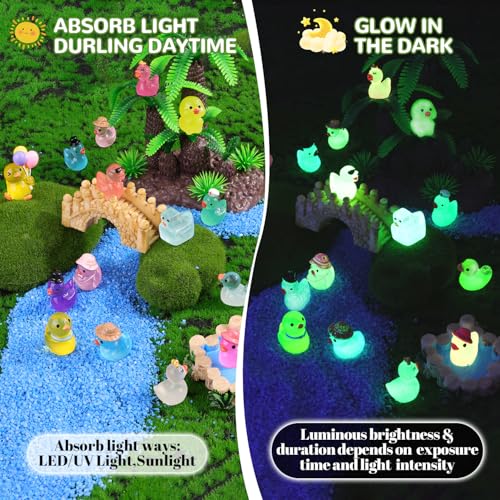 TINKRSTUFF 50PCS Mini Resin Animals Assorted Styles Tiny Ducks Glow in Dark,Miniature Duck Figures to Hide,Little Animal Bulk for Topper Desk Garden Landscape Aquarium DIY Crafts & Decor - color: Luminous Various Ducks-50pcs
