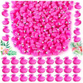 HFAYDZSW 115Pcs Mini Resin Flamingo Ducks, Flamingo Tiny Figurines for Cake Topper Garden Dollhouse Landscape Aquarium Ornaments DIY Crafts