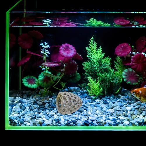 Garneck Shrimp Dome Hide: Shrimp Hides for Aquarium - Betta Fish Hideout with Suction Cup - Fish Tank Habitat Ornament Accessories - Aquarium Hiding Decor Golden - color: Golden