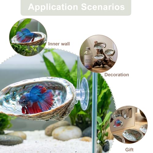 3 Pcs Betta Hammock, Rainbow Iridescent Floating Fish Cave, 3D Printed PLA Aquarium Resting Spot with Feeder Ring, Betta Hideout Shrimp Cave for Nano Tank
