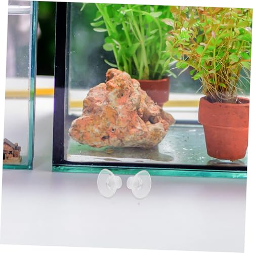 20 Pcs Aquarium Suction Cups with Adjustable Ties Transparent Clip Holders for Fish Tank Plant Binding Robust Grip for Moss and Shrimp Nest Decoration for Aquatic Setup
