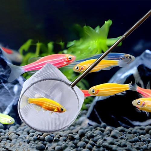 Aquarium Net with Extendable Long Handle, Adjustable Wastes Skimming Cleaning Tools Nylon Fishing Mesh Nets with Long Plastic Handle - color: round, style: S