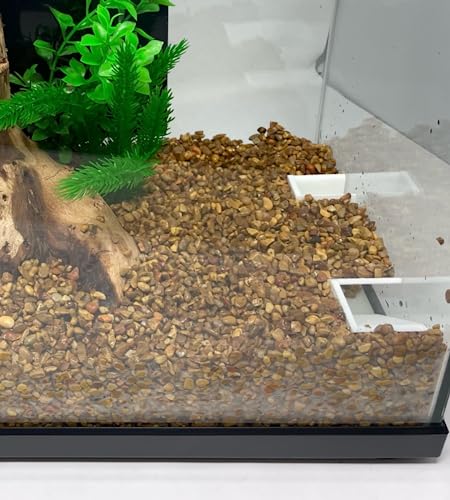 Chatelet Aquarium Underground Tunnel | Fish & Shrimp Hideout for Aquariums | Unique Underground Viewing Tunnel | Made in USA (White) - color: White