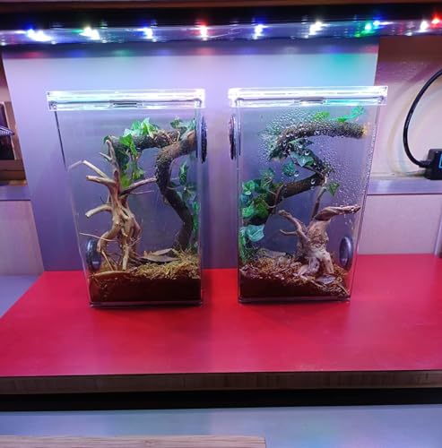 8pcs Natural Small Spiderwood Driftwood for Aquarium Decor Aquarium Driftwood Freshwater Reptile Driftwood Aquarium spiderwood (spiderwood 5-6inch 8pcs)