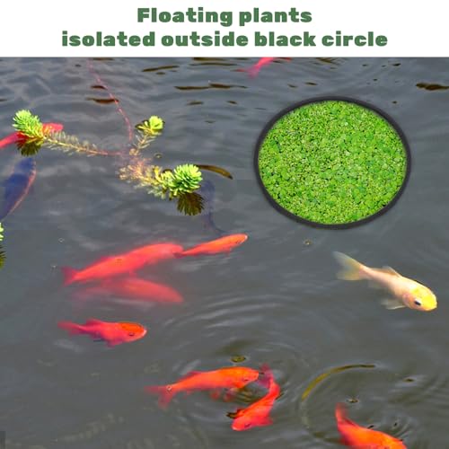 10 Pcs Fish Feeding Rings Set, Floating Plant Ring Aquarium Plant Corral Round Square Fishes Feeder Rings Aquariums Floating Plants Barrier Fishes Tanks Aquarium Floating Ring for Fish Tank Aquariums