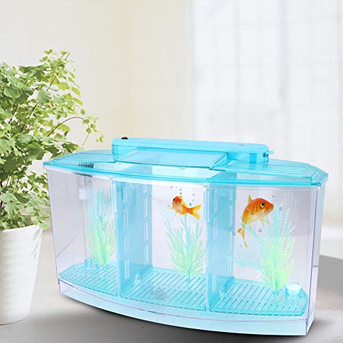 Small Fish Tank With Filter, Aquarium Fish LED Acrylic Three Divisions Breeding Isolation Box for Small Fishes Aquarium Fish (Blue) - color: Blue