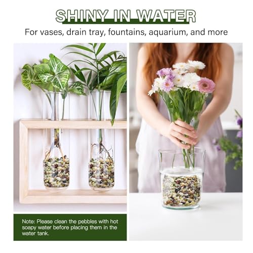 NUPICK 3 lbs Pebbles for Indoor Plants, 1/5 Inch Pea Gravel for Fish Tank, Polished Decorative Rocks for Succulent, Natural River Stones for Vases, Cactus, Landscaping, Bird Bath, Aquarium, Colorful - color: Colorful, size: 3 lb