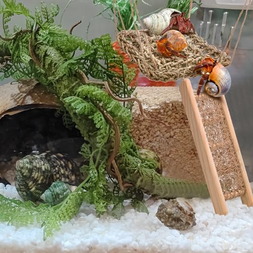 CHALEEMANG Hermit Crab Toys - Seagrass Hammocks and Ladder Bridges Set With Small Brush - Aquarium Accessories and Decorations for Tanks