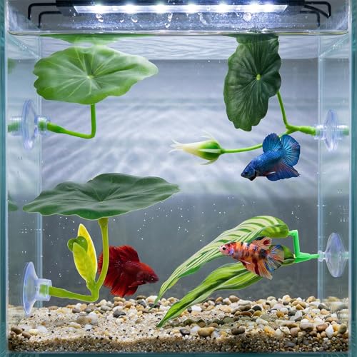 4 Pack Betta Fish Hammock Plant Leaf Pad, Improves Betta Health by Simulating The Natural Habitat, Fish Spawning Grounds Breeding Resting Bed, Fishes Tank Accessories Aquarium Décor