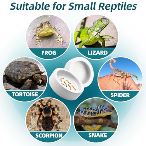 Meanplan 4 Pcs Reptile Bowl Food Dish Reptile Water Food Feeding Dish Ceramic Worm Pet Bowl Anti Escape Feeder for Lizard Anoles Chameleon Bearded Dragon Hermit Crab (4.92 Inch) - size: 4.92 Inch