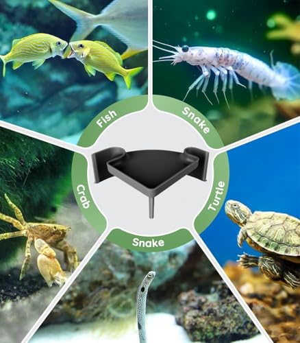 Aquarium Underground Cave with Viewing Window - 2 Hole Corner Fish Tank Hideout for Pleco, Cory Catfish, Kuhli Loach, Shrimp & Betta - Safe Decor Hide Decorations for Bottom Dwellers (5"L x 5"W x 2"H) - color: Two Hole Corner Cave Black Medium