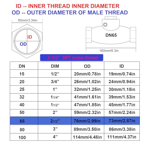 2-1/2" Stainless Steel Check Valve, NPT Threaded Horizontal Check Valve to prevent backflow, check valve for water, oil and air, also available with compressor DN65 - size: 2-1/2"(DN65)