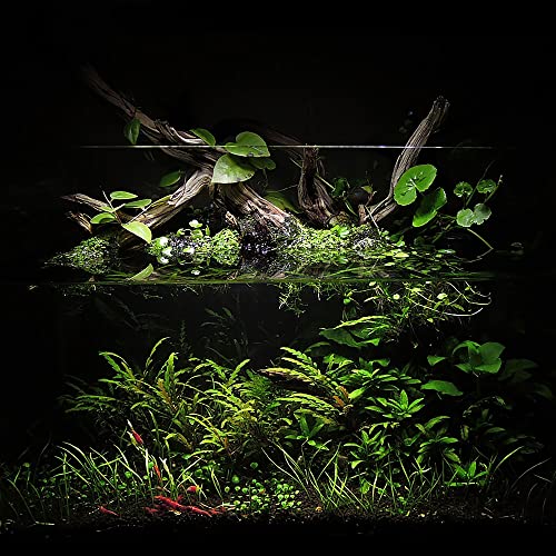 Ultum Nature Systems Controsoil - Freshwater Aqua Soil Substrate for Fish, Shrimp, Live Plant Propagation and Aquascaping - 6.8pH Low Ammonia, Volcanic Ash - Black, Normal (10 Liter) - color: Black - Normal, size: 10 Liters (9.1 kg)