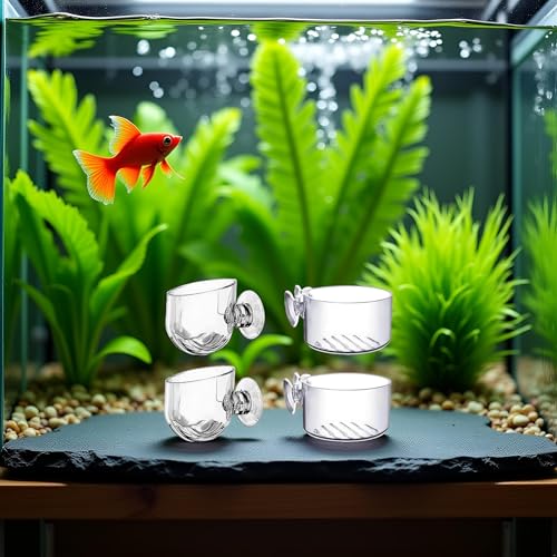 4Pcs Transparent Acrylic Aquatic Plant Cups with Suction - Aquarium Decoration 2 Shapes for Fish Tank Ornament