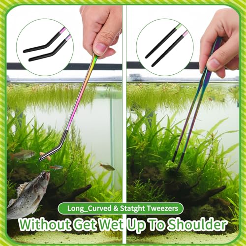 3PCS Stainless Steel Reptile Feeding Tongs Straight Curved Long Tweezers 10.6” Long Aquarium Reptile Tweezer Reptiles and Feeding Accessories Tweezer Feeder Tool for Aquarium Terrarium