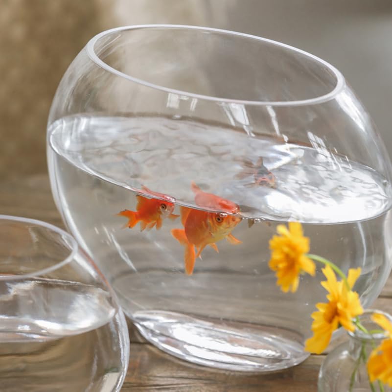 Multi-Function Glass Fish .84 Inch Transparent Aquarium Bowl with Fish Accessories for Home Desktop Office Decor - size: 28X23cm
