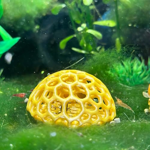 Shrimp Dome Hide - Aquarium Cherry Shrimp Hide - CTWPets Cherry Shimpe Hide (Black) - color: Black