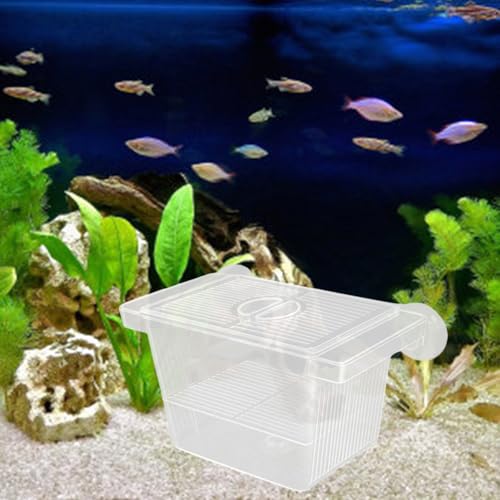 Multipurpose Fish Isolation Tanks with Strong Suction Cup for Aggressive Injured Pregnant and Fry Protections 2PCS Aquarium Isolation Divider - color: Late double room