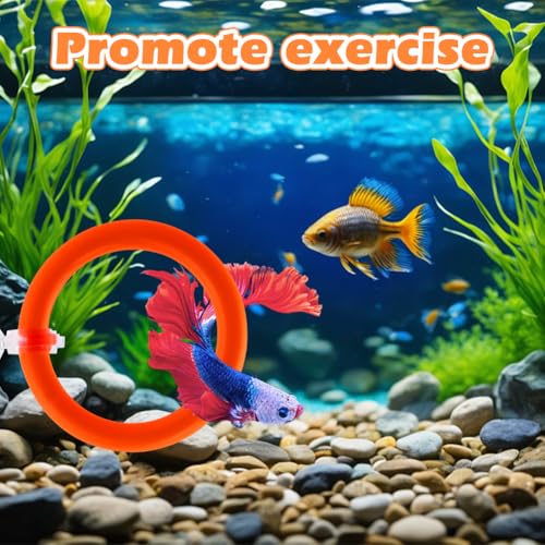 2pcs Bettas Fish Enrichment Toys Ring, with Mirror/Floating Ball, Exercise Floating Mirrors and Training Ring for Fish Tank, Aquarium Feeding Rings Accessories (Orange) - color: orange