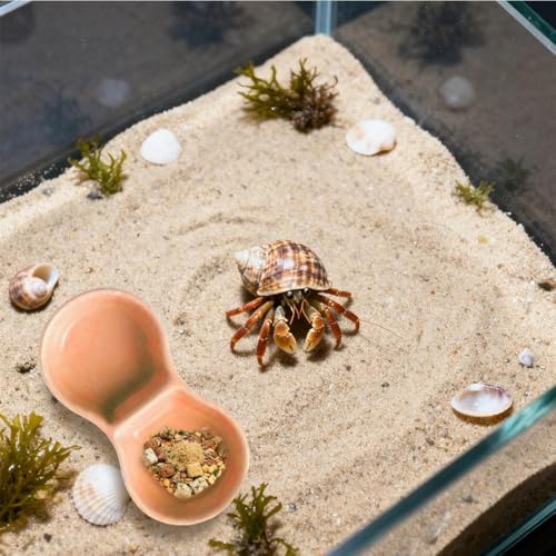 2 PCS Ceramic Hermit Crab Food Dish Reptile Water Dish Hermit Crab Water Bowl Aquarium Accessories for Bearded Dragon Gecko Lizard Snail Frog Turtle Tortoise