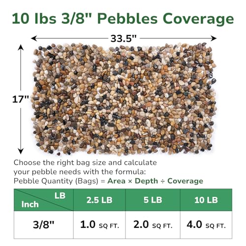 GreatBuddy 10-lb Pebbles for Indoor Plants, 3/8" Pea Gravel for Vases, Small Rocks for Succulents, Fish Tanks, Aquariums, Terrarium, Drainage Pebbles for Potted Plants, River Rocks for Landscaping - color: Natural-10lb, size: Medium-3/8 Inch