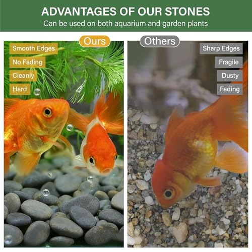 NUPICK 6lb Mexican Beach Pebbles, 1" Black River Rocks for Landscaping, Smooth Garden Rocks for Outdoor Paving, Natural Black Pebbles for Plants, Decorative Stones for Planters, Fish Tank, Fountain - color: Gray, size: 1", 6lb