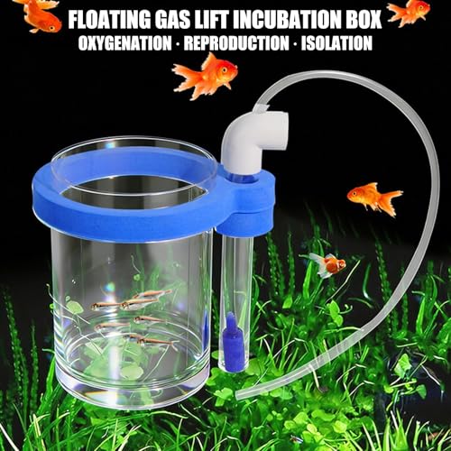 Protective Acrylic Incubator Box Safe Fry Rearing Container Suitable for Guppy & Fish Fry Featuring Sponges Cushioning Suspended Fish Hatchery